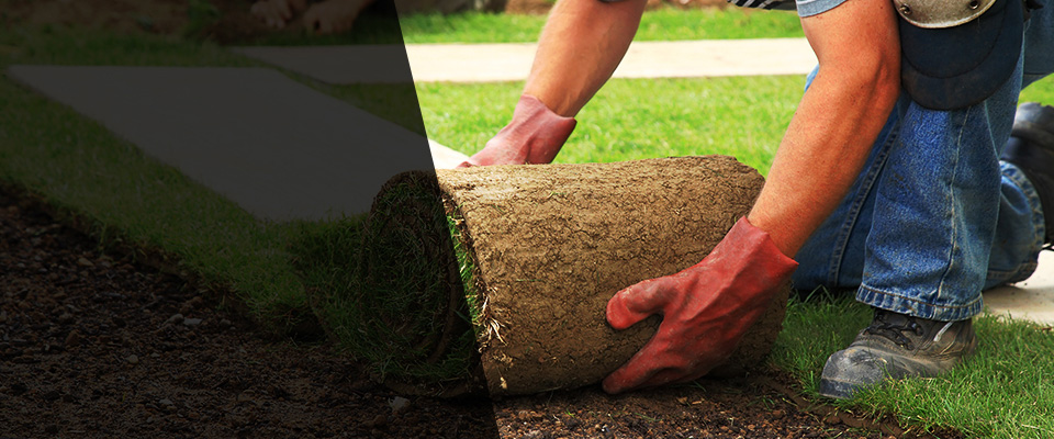 Rutland Landscapers